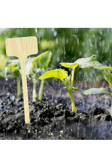 copy of Solid Cutting Board 30x15 with Rounded Edge - Durable Oak Wood from Manufacturer