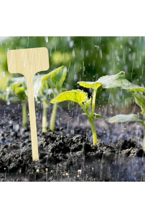 copy of Solid Cutting Board 30x15 with Rounded Edge - Durable Oak Wood from Manufacturer