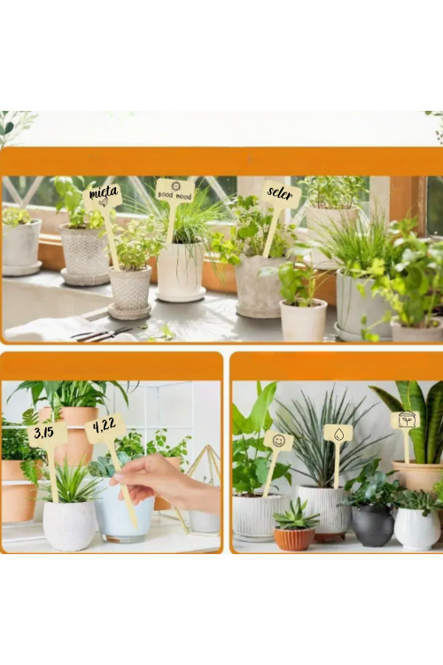 copy of Solid Cutting Board 30x15 with Rounded Edge - Durable Oak Wood from Manufacturer